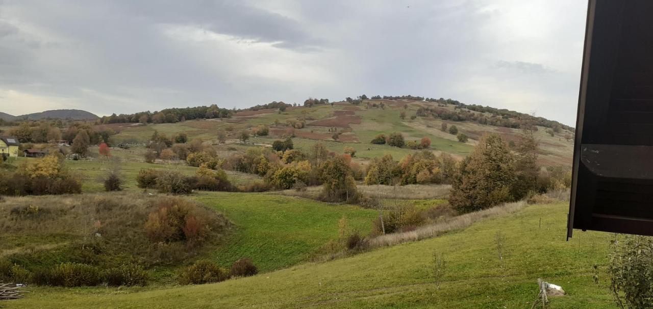 סליסטה דרזניקו Guesthouse Blazenka Hodak מראה חיצוני תמונה