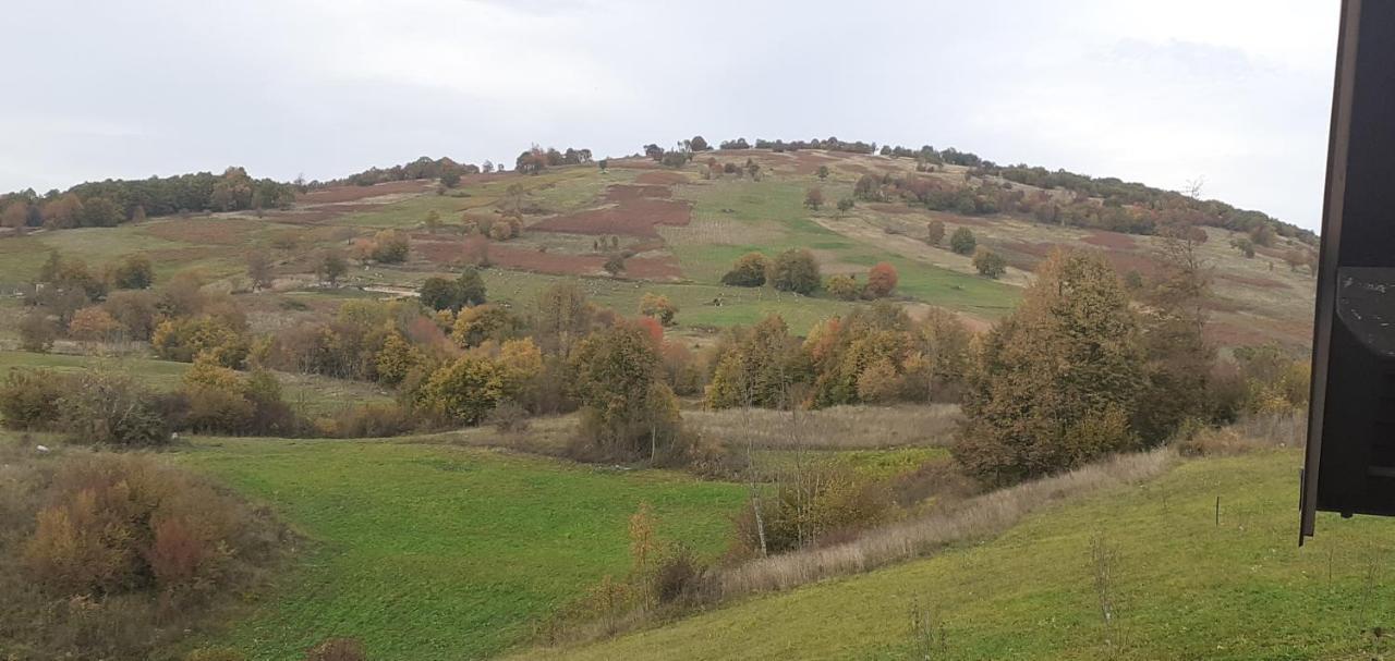 סליסטה דרזניקו Guesthouse Blazenka Hodak מראה חיצוני תמונה