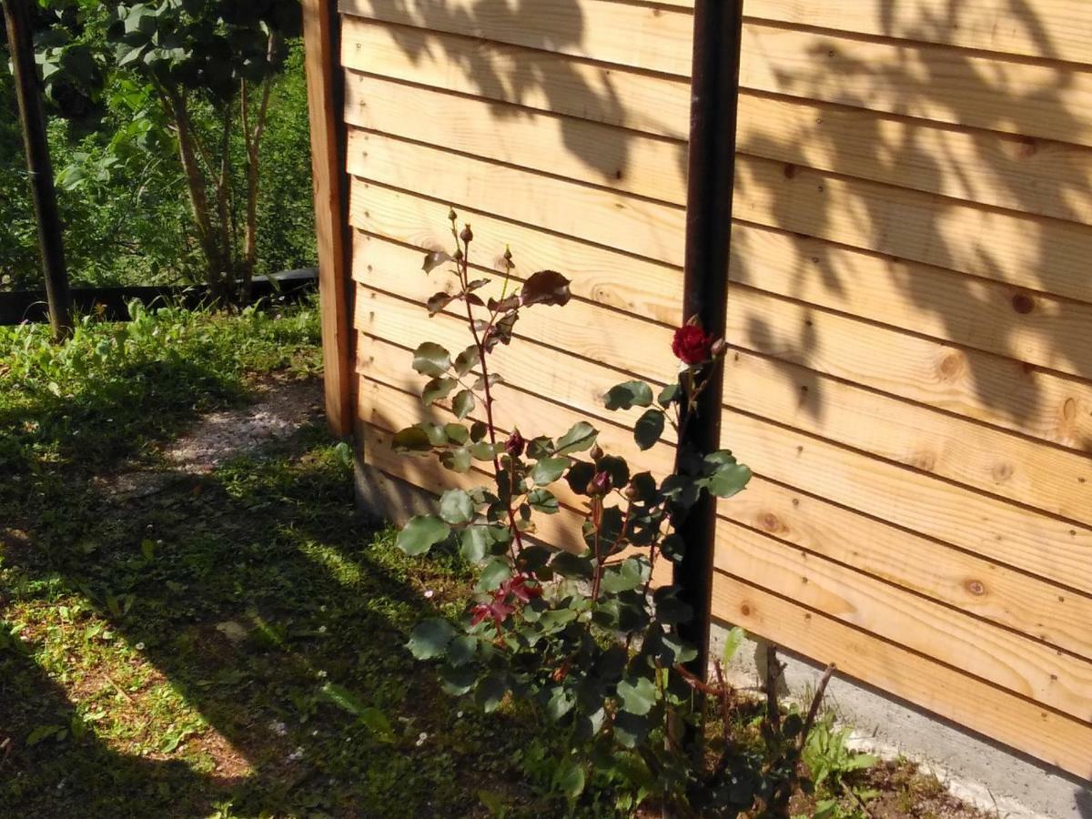 סליסטה דרזניקו Guesthouse Blazenka Hodak מראה חיצוני תמונה