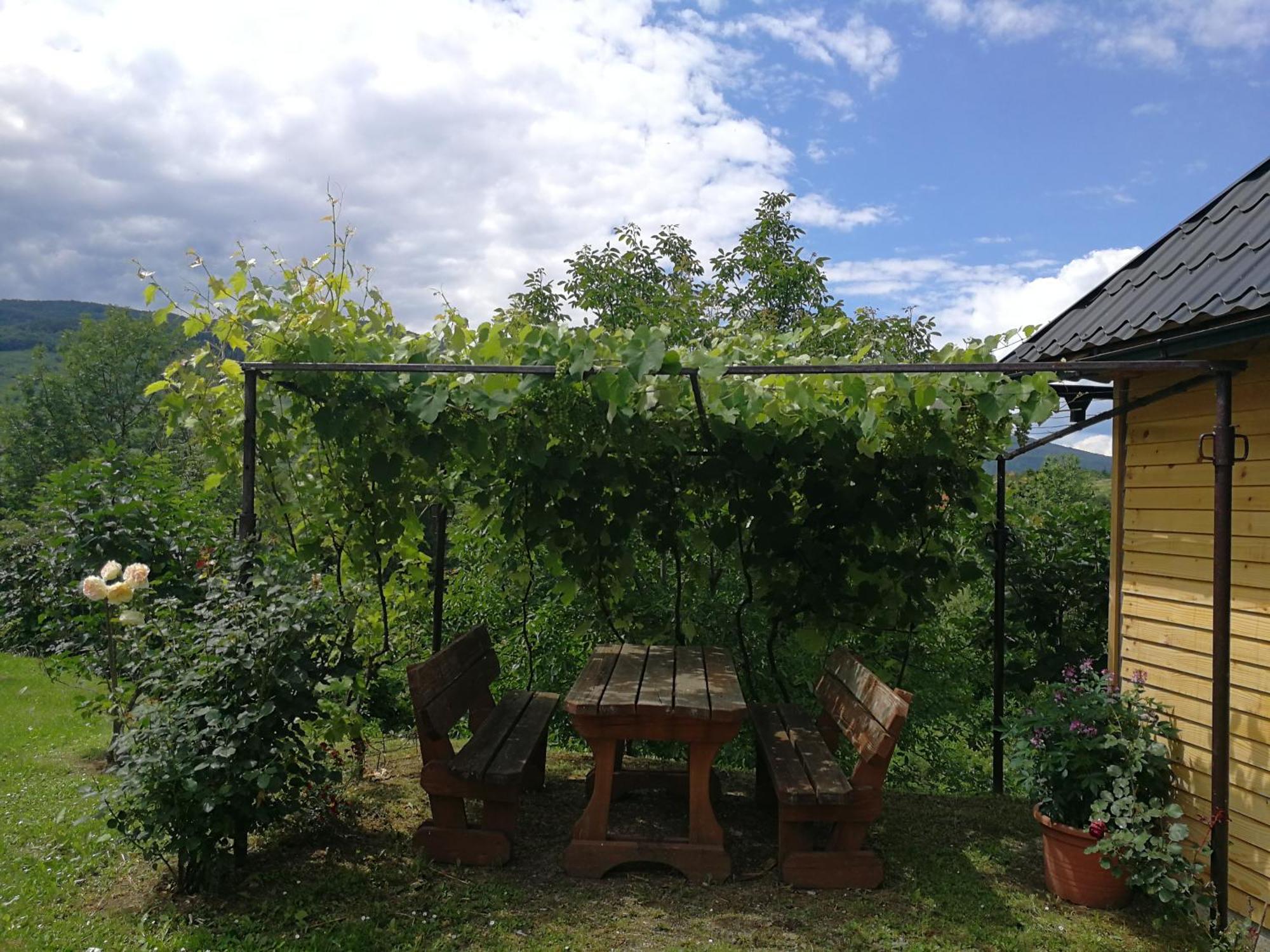 סליסטה דרזניקו Guesthouse Blazenka Hodak מראה חיצוני תמונה