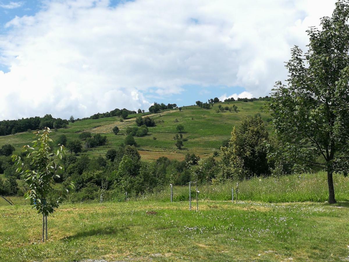 סליסטה דרזניקו Guesthouse Blazenka Hodak מראה חיצוני תמונה